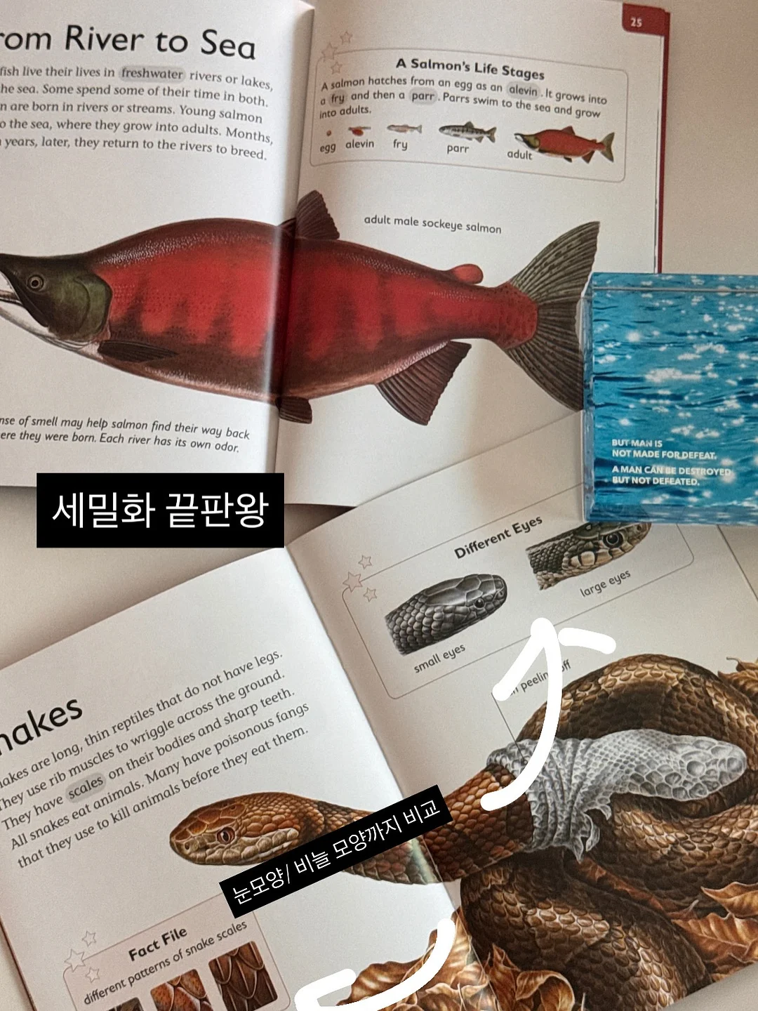 스와로브 시리즈 스커트 10