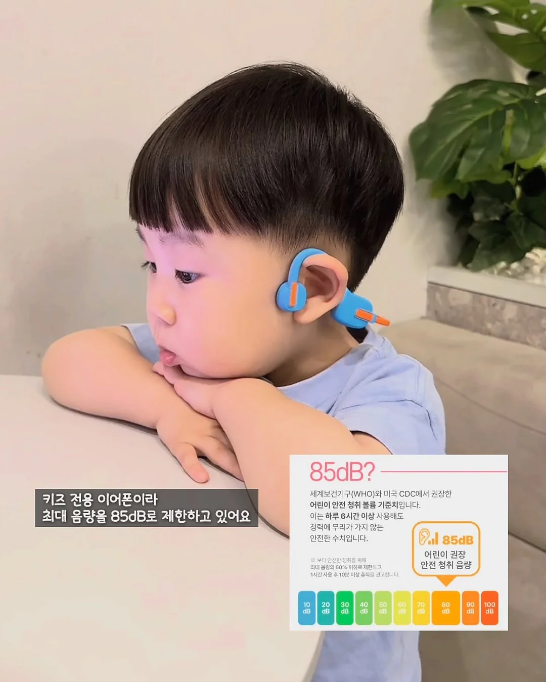 태극기 강정 KIT 4