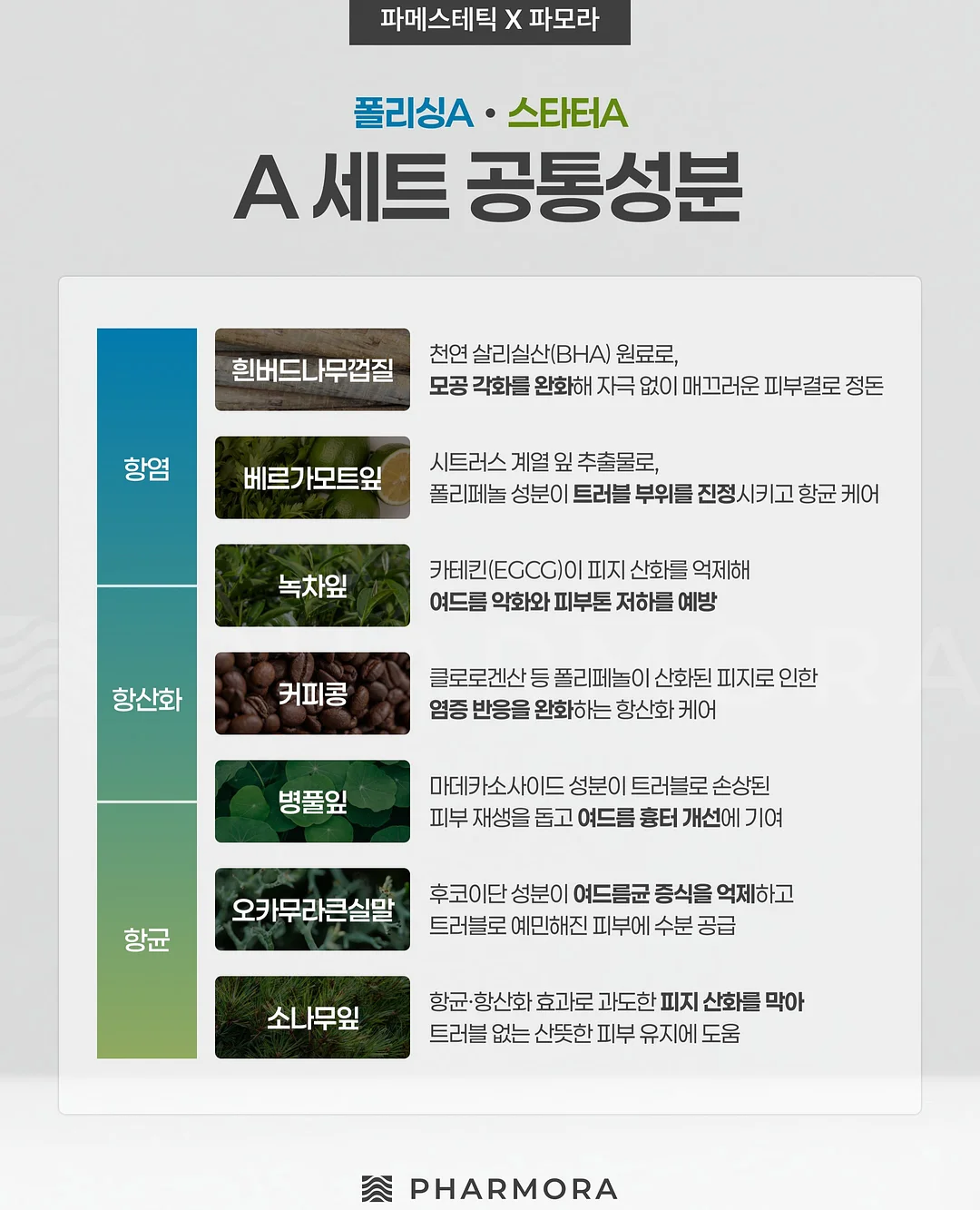 연세대 졸업스냅 5