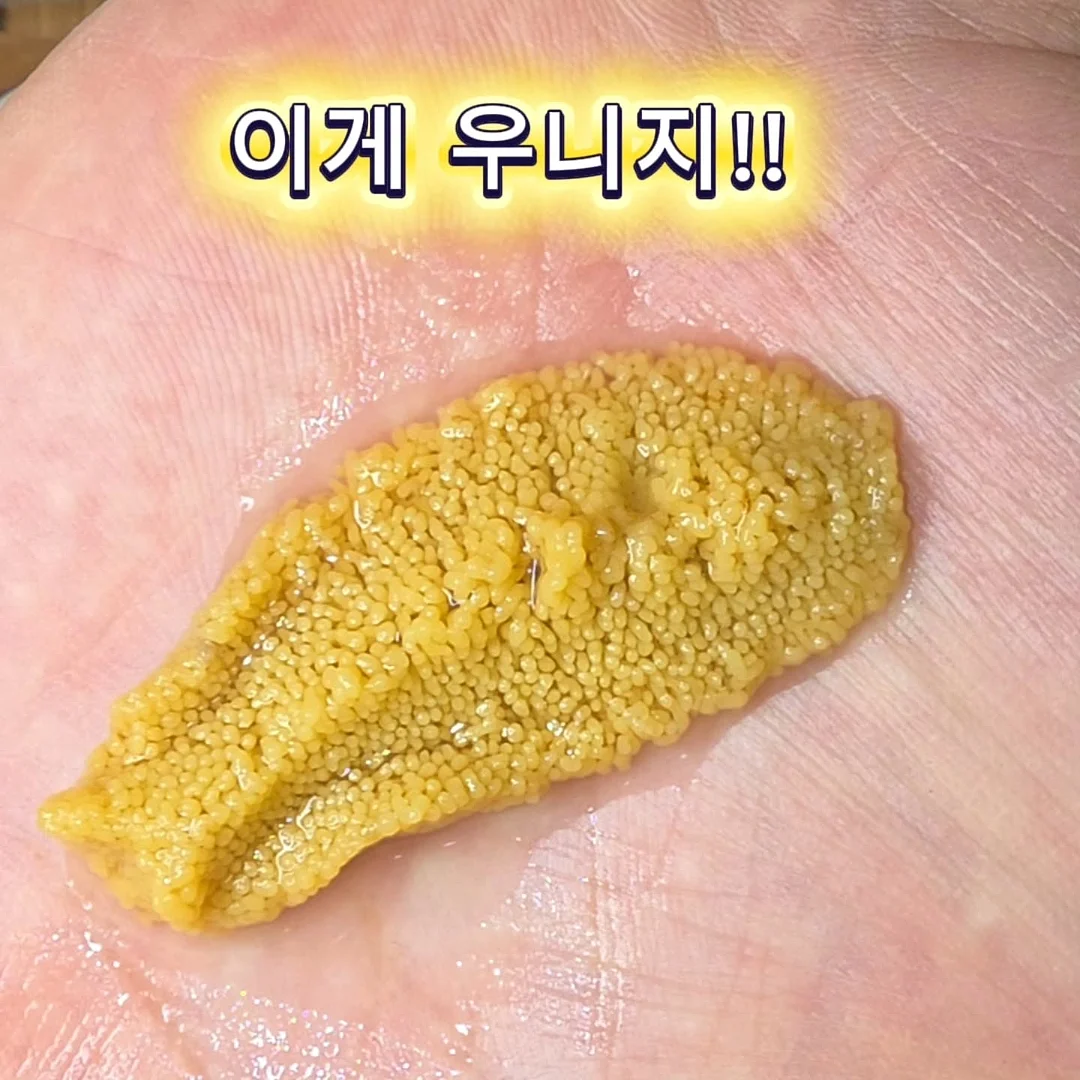중3을 위한 고등학교 사용설명서