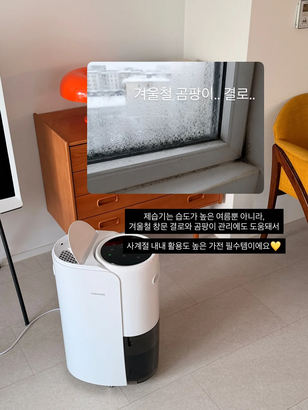 안성팜랜드 11