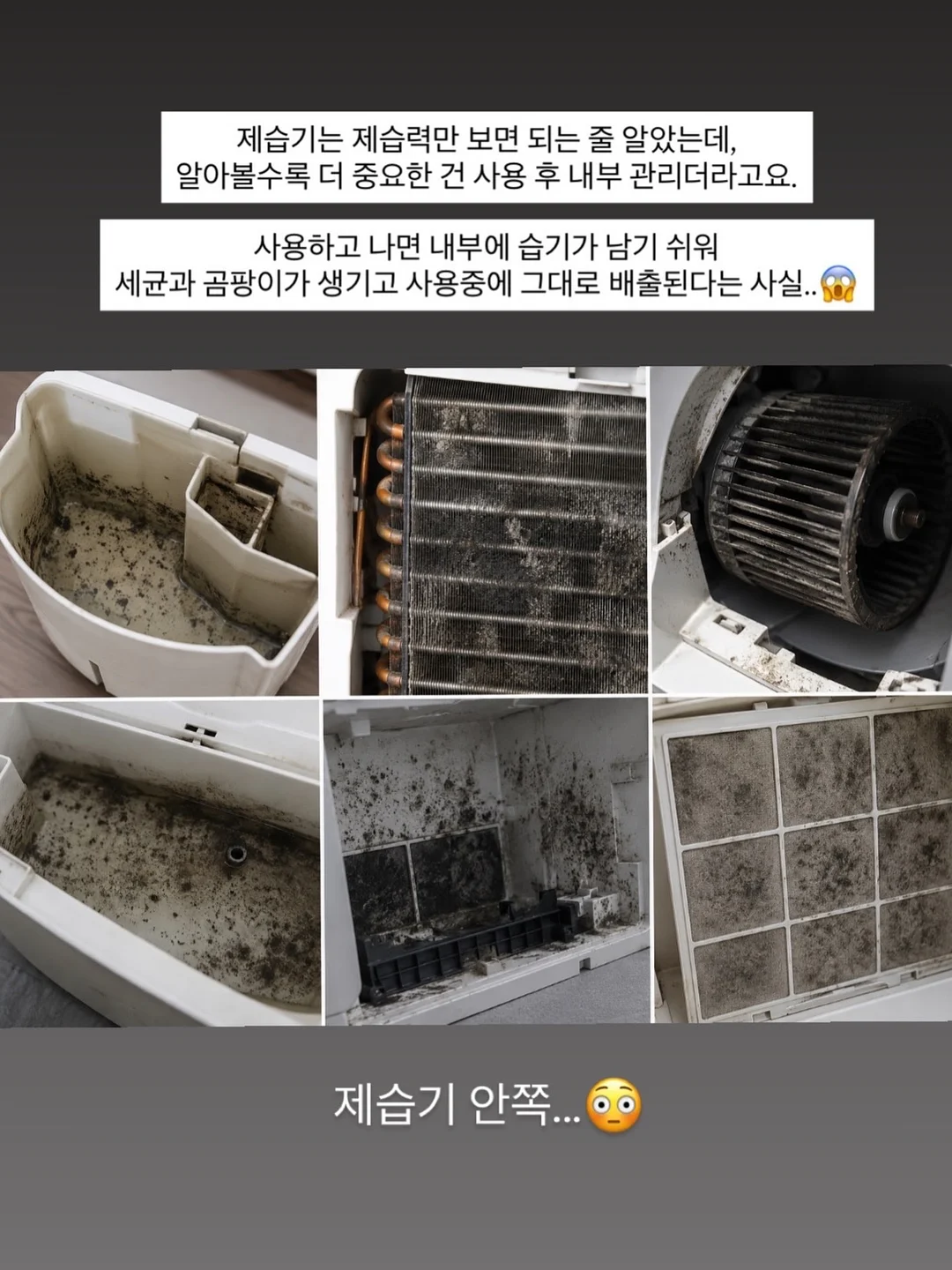 안성팜랜드 3