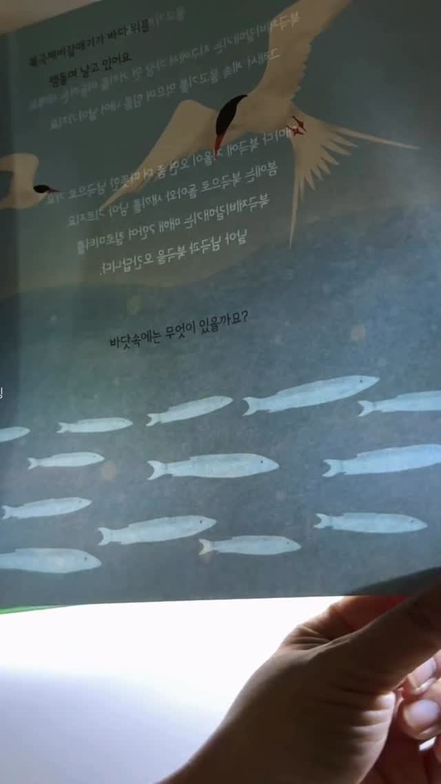세인트새틴 브린 쪼리