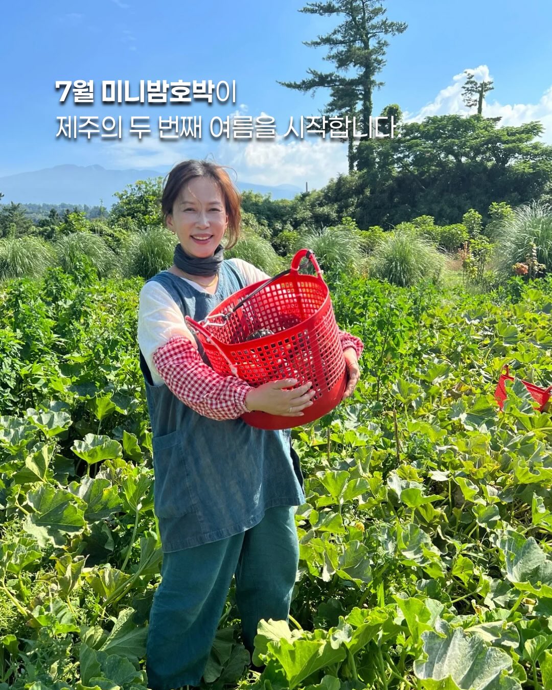 엘로주 울실크 슬랙스 1
