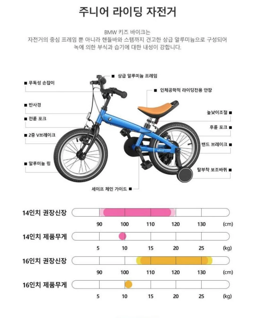 황금빛 바다 파우치 5