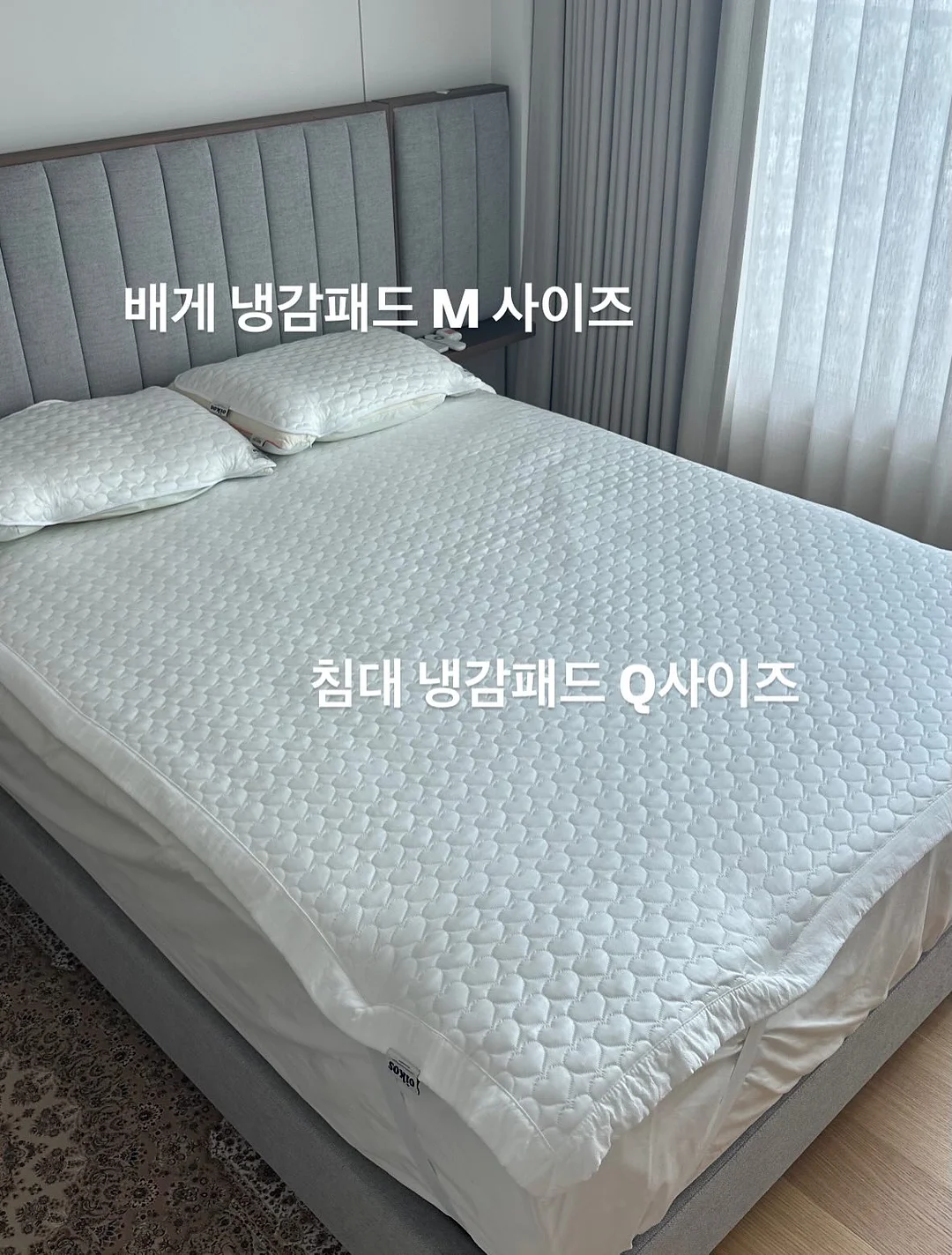 렌틸 트레이닝 팬츠 3