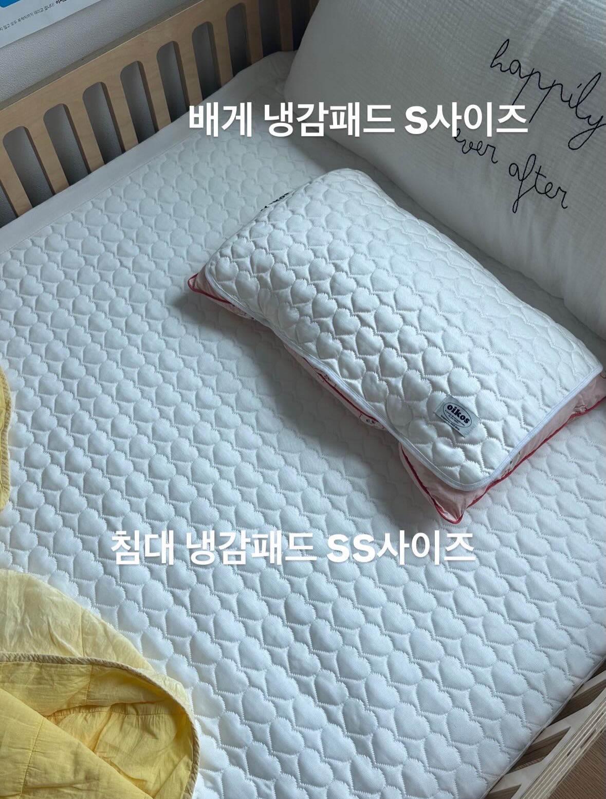 렌틸 트레이닝 팬츠 4