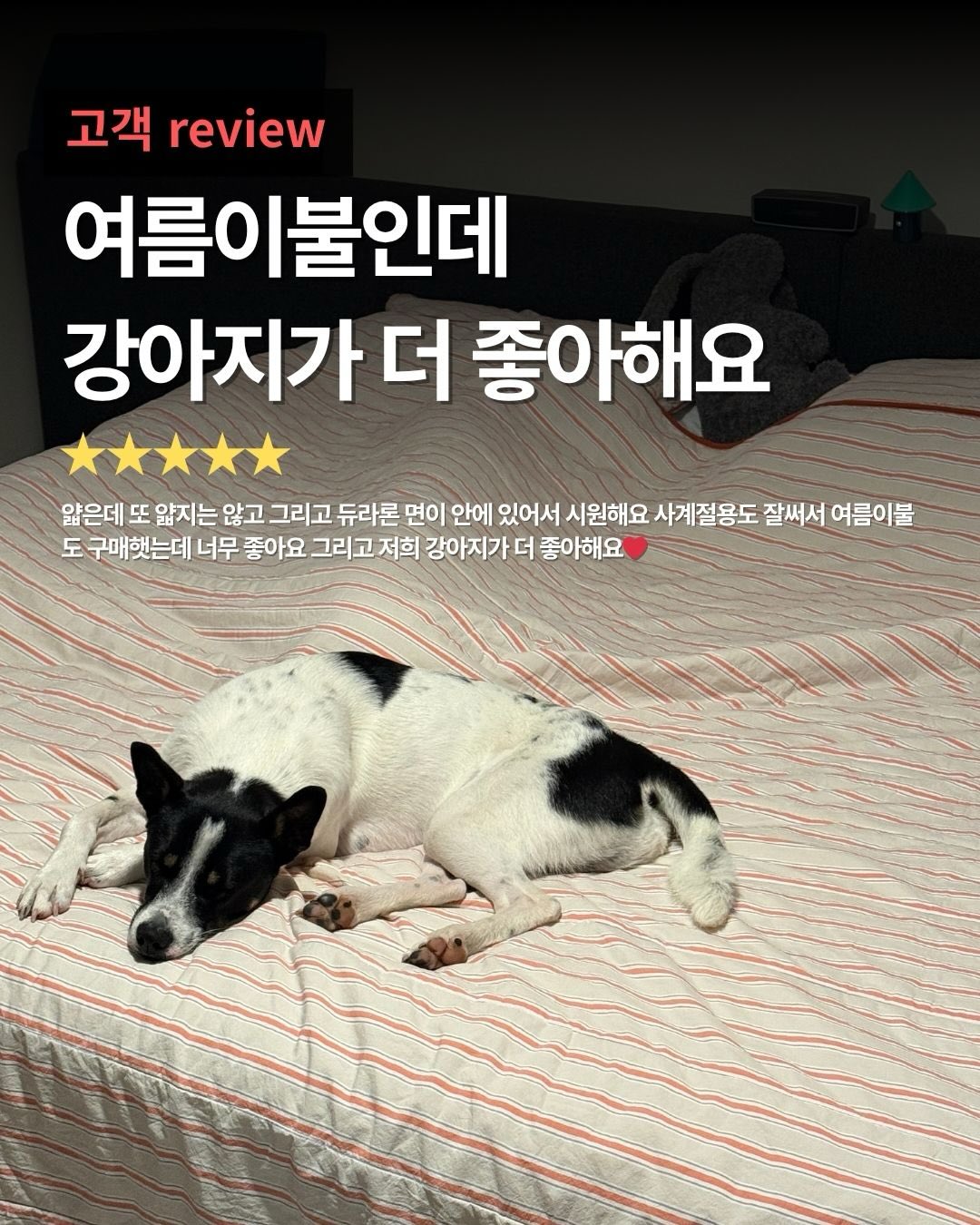 수납렉 1