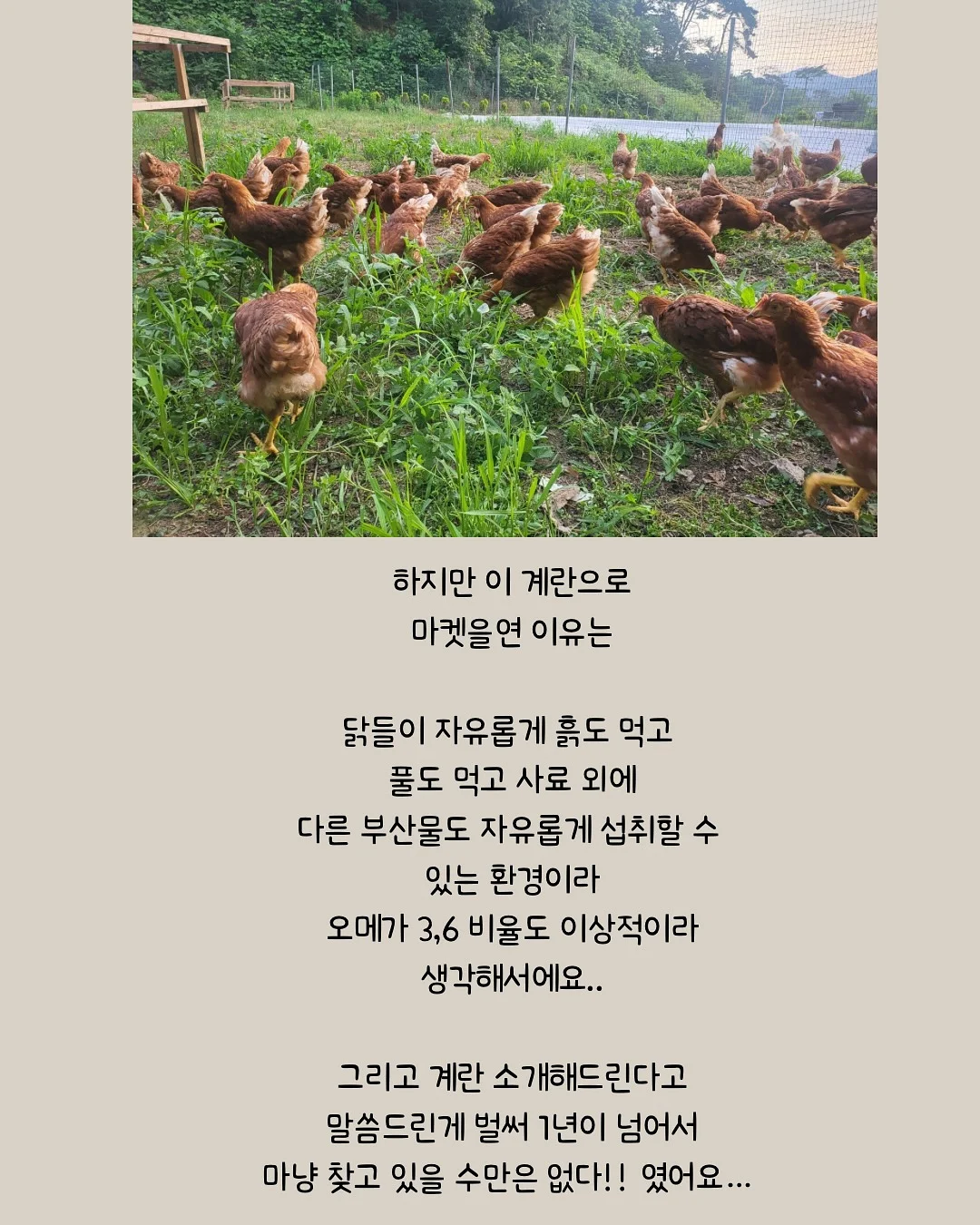 실리콘 레인 슈즈 12