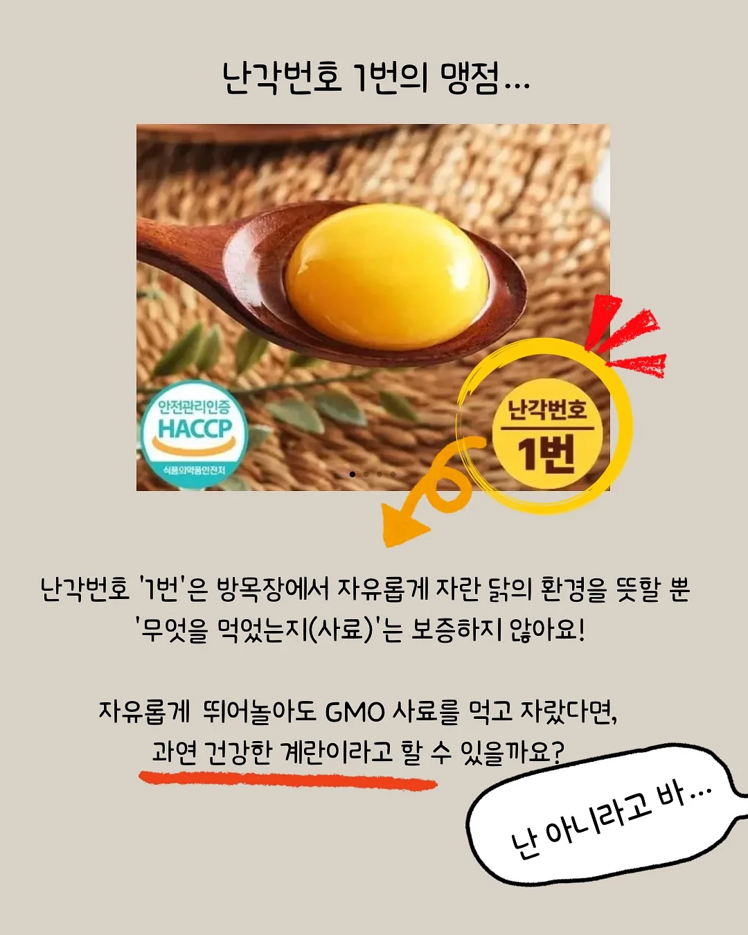 실리콘 레인 슈즈 4
