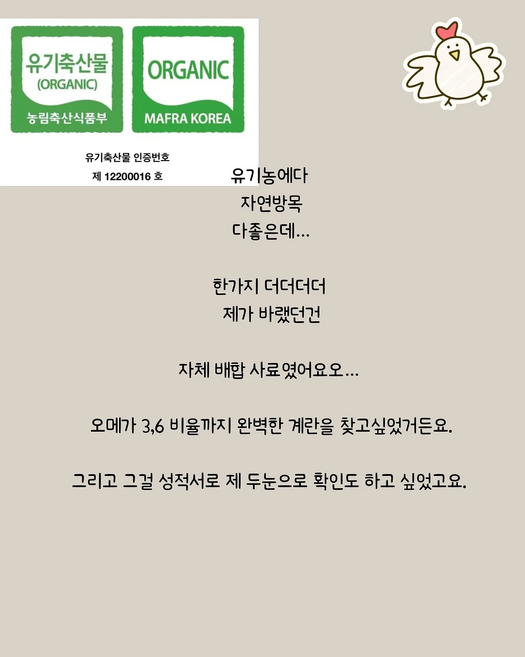 실리콘 레인 슈즈 10