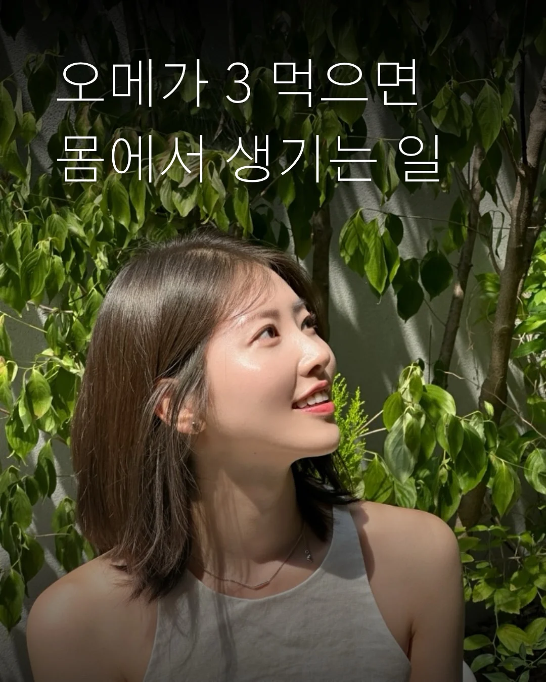 패디아트 1