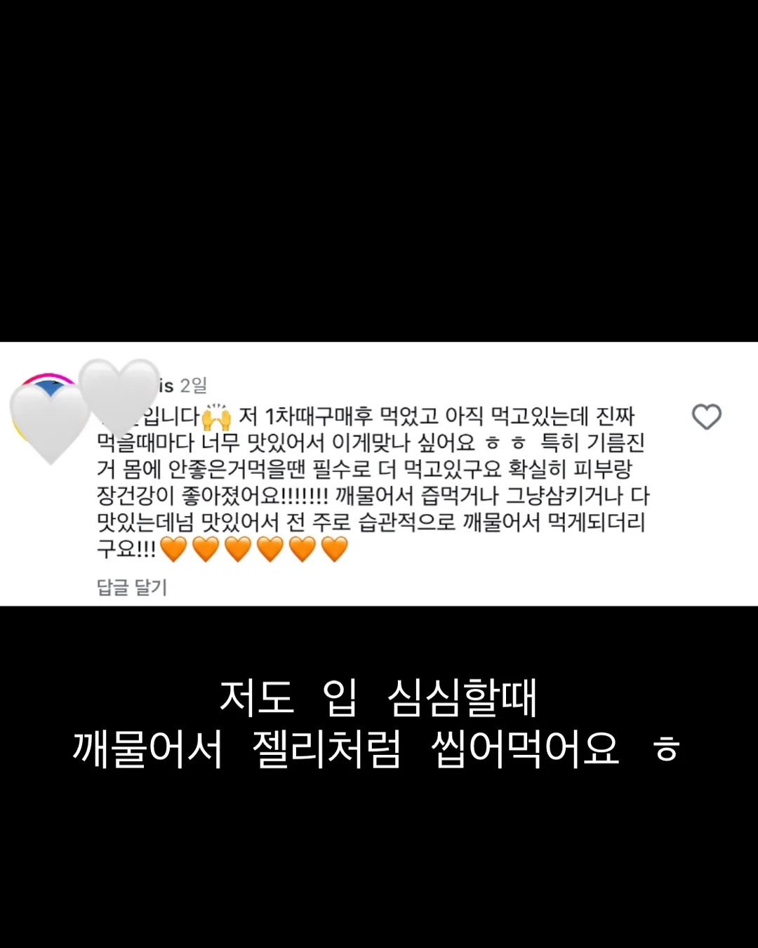 패디아트 13