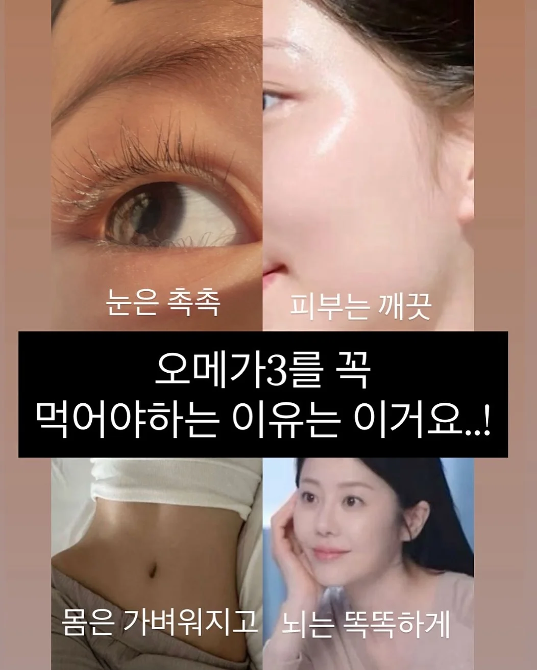 패디아트 19