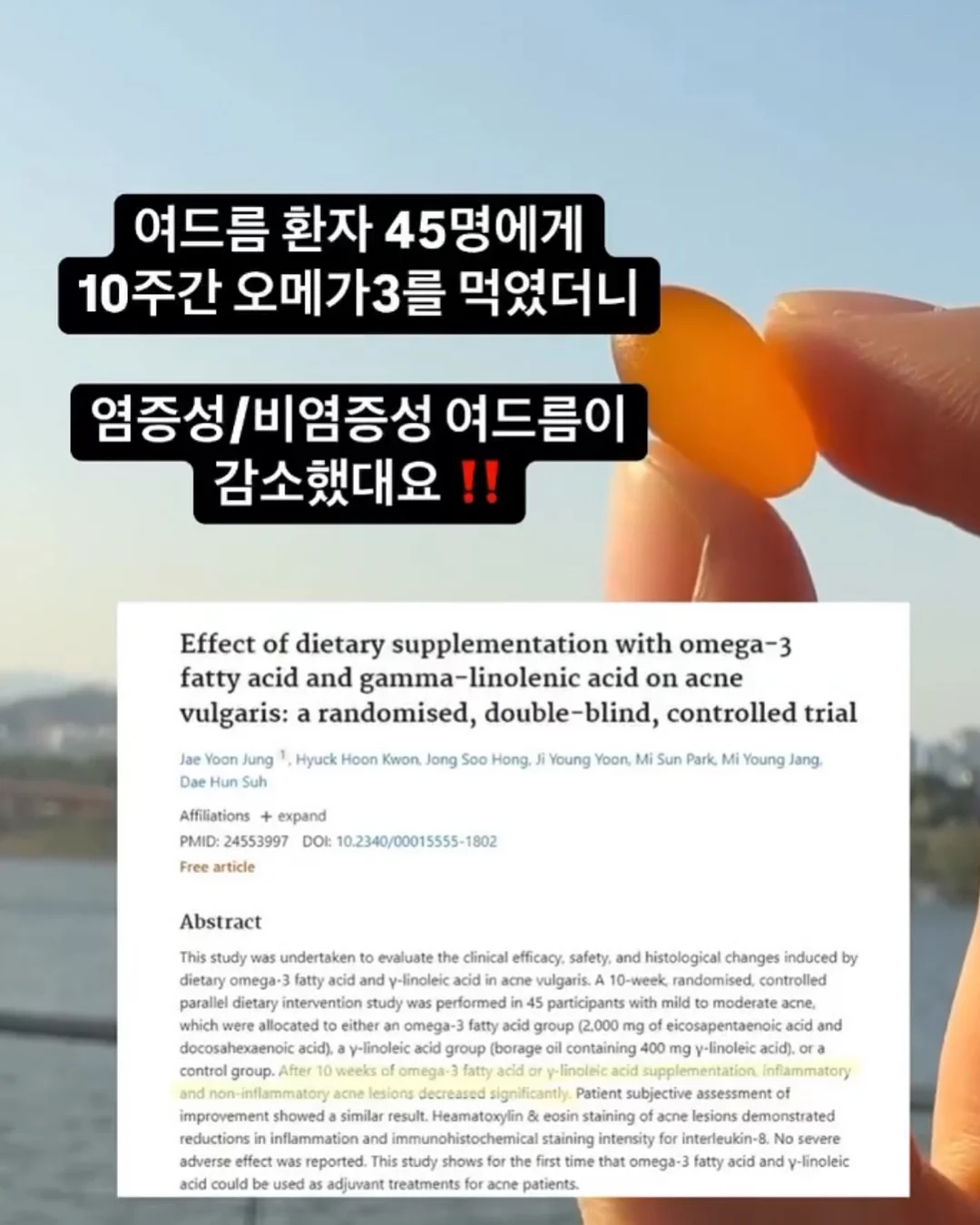 패디아트 3