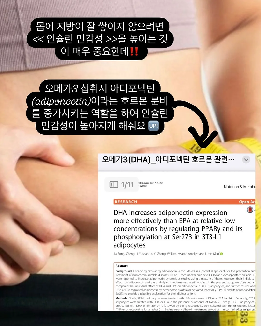 패디아트 7