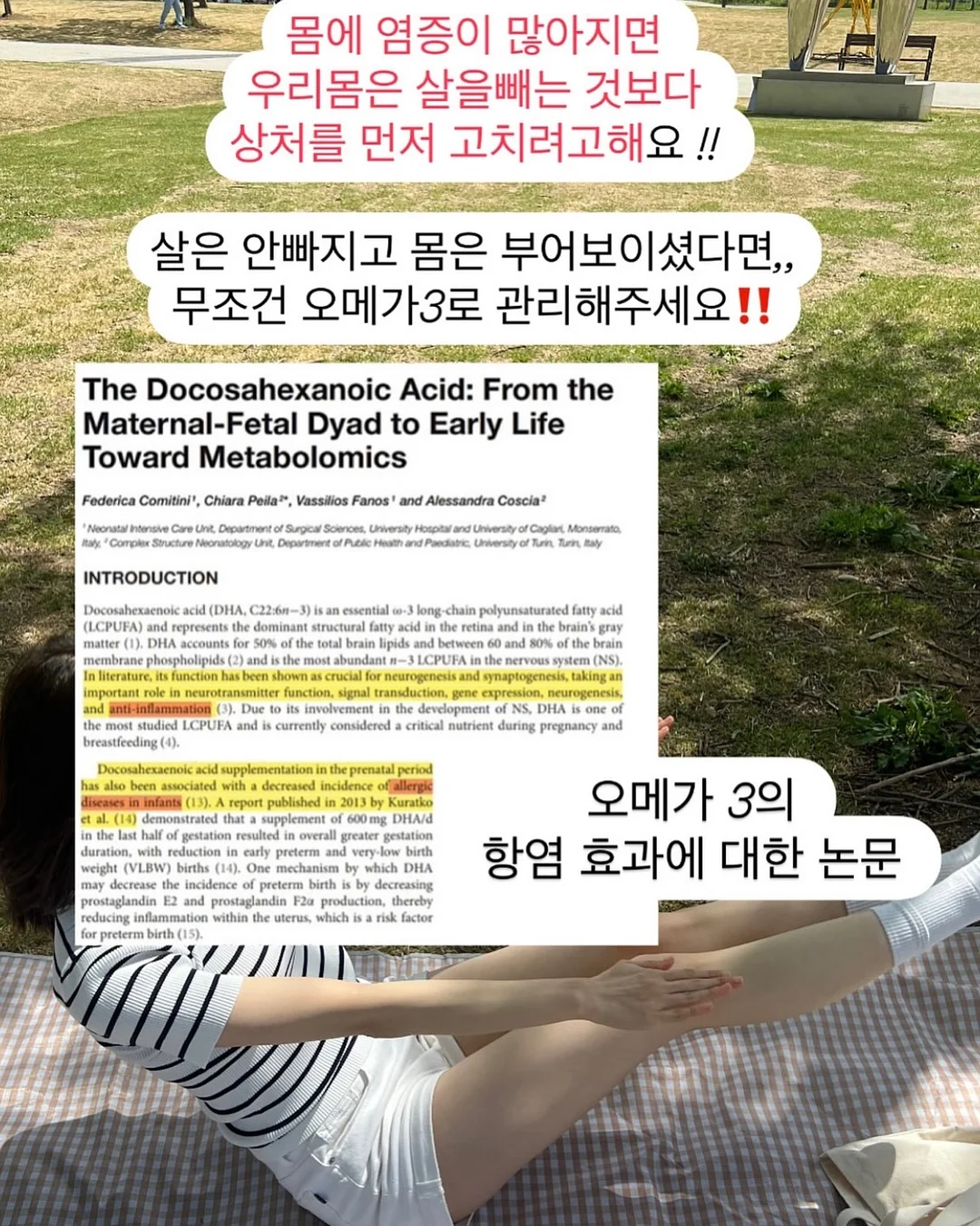 패디아트 8