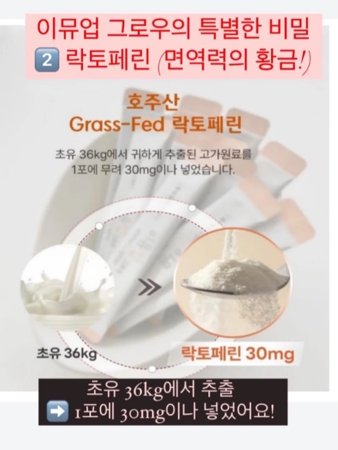 유리제로 프로 창문 청소기 12