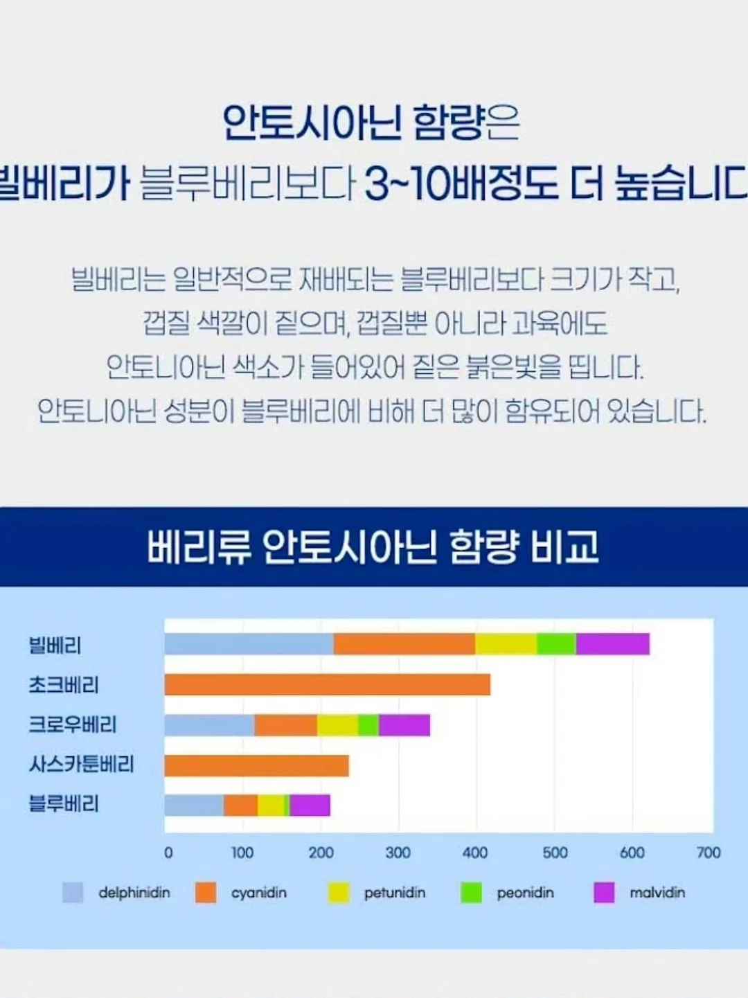 알로 백 7