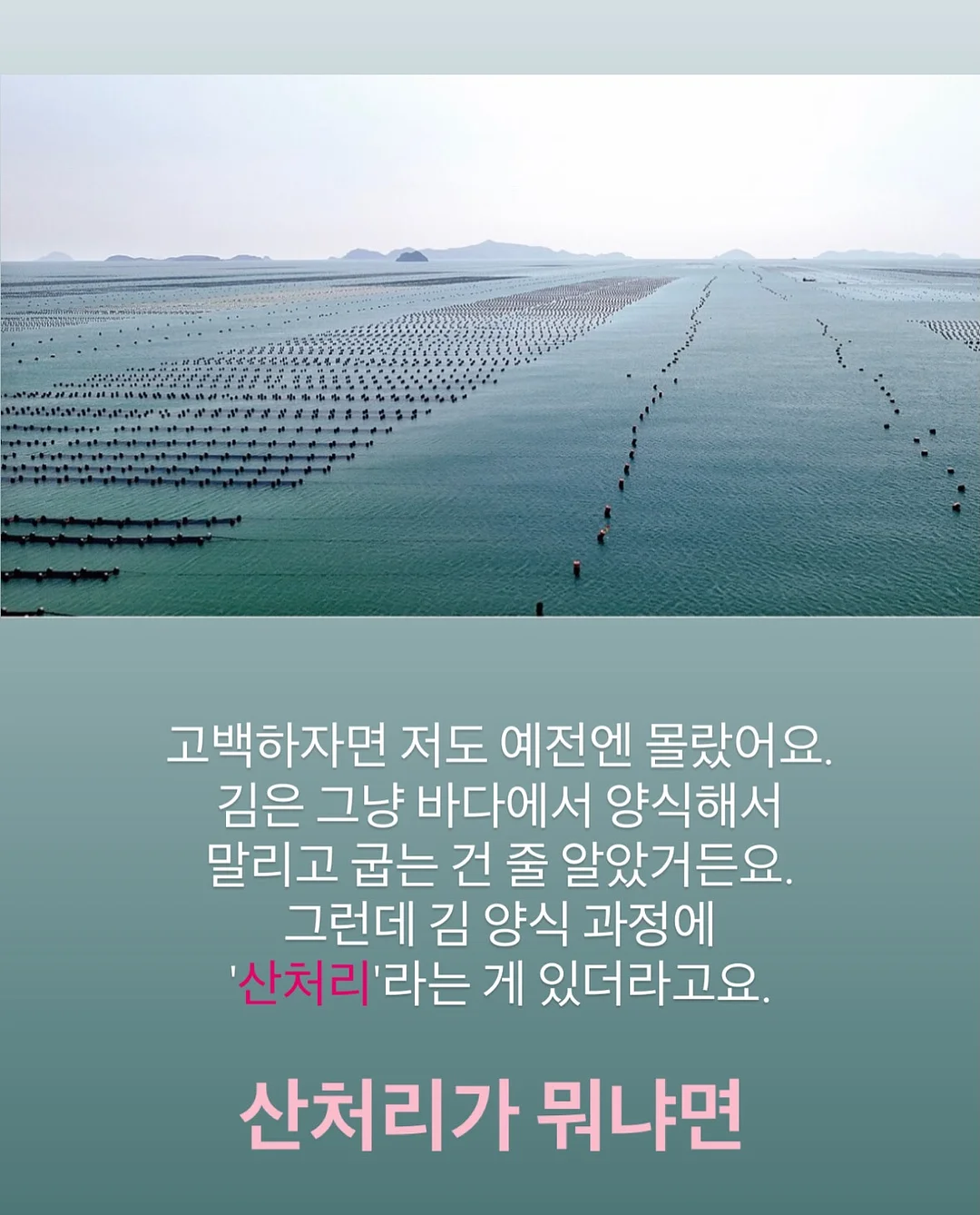 라라스윗 리얼 망고 쫀득바 & 라라스윗 리얼 멜론 쫀득바 3