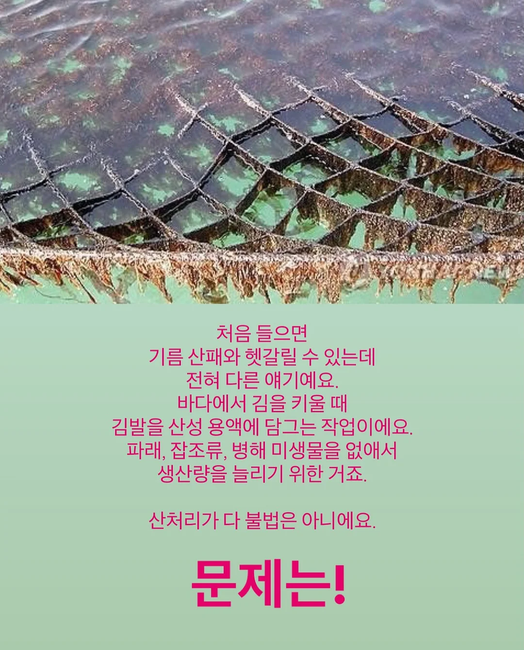 라라스윗 리얼 망고 쫀득바 & 라라스윗 리얼 멜론 쫀득바 4