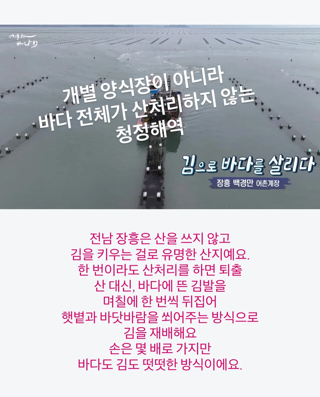 라라스윗 리얼 망고 쫀득바 & 라라스윗 리얼 멜론 쫀득바 9