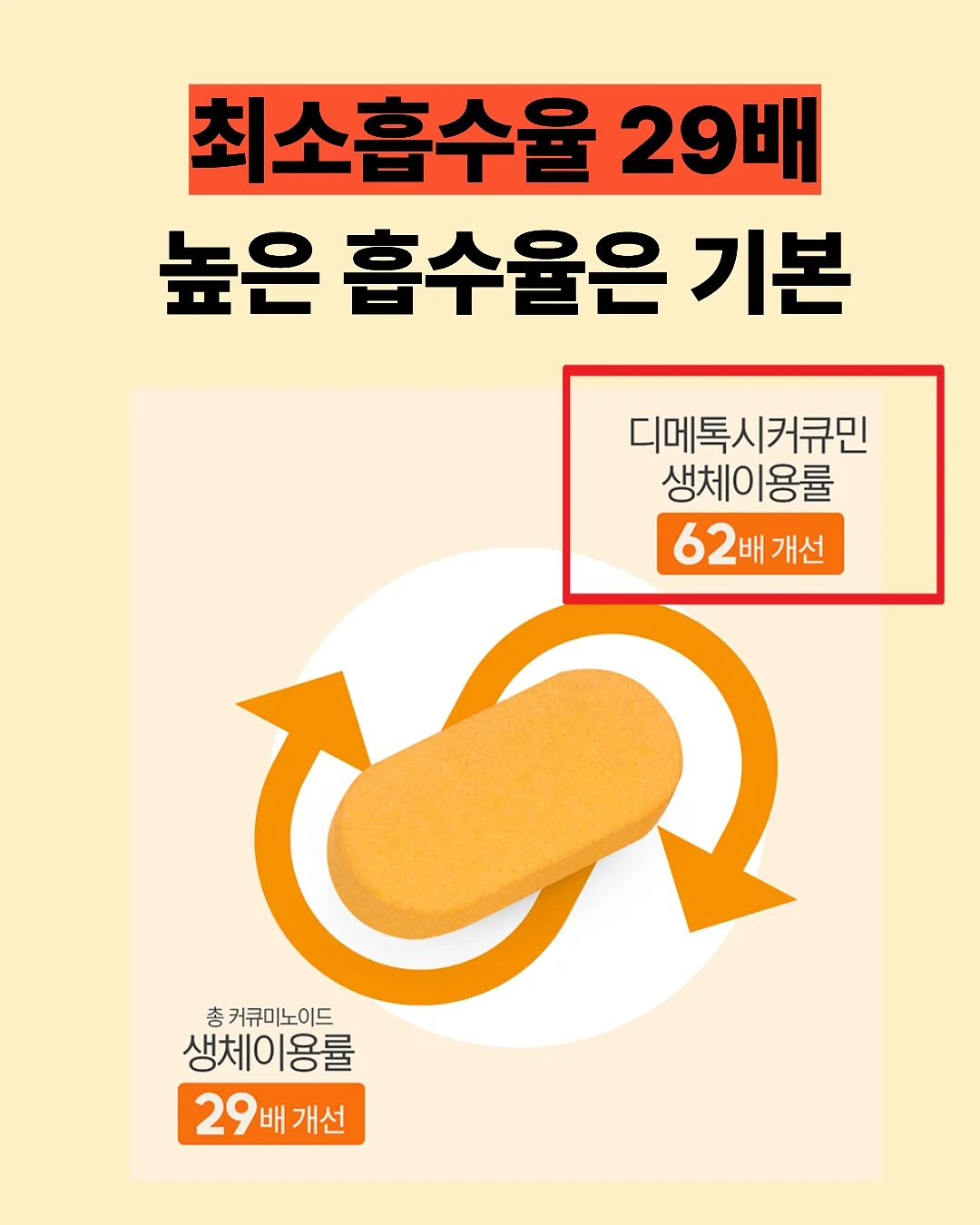 파데프리 루틴 5
