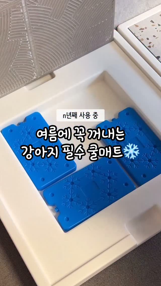 발란스핏 EMS 슬림 벨트 프로