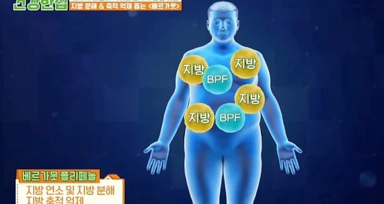 빼빼주스 2