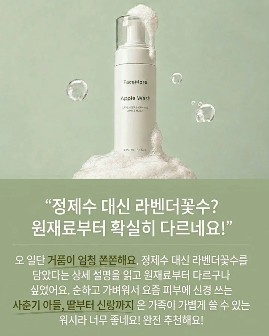 채소 신선백 5