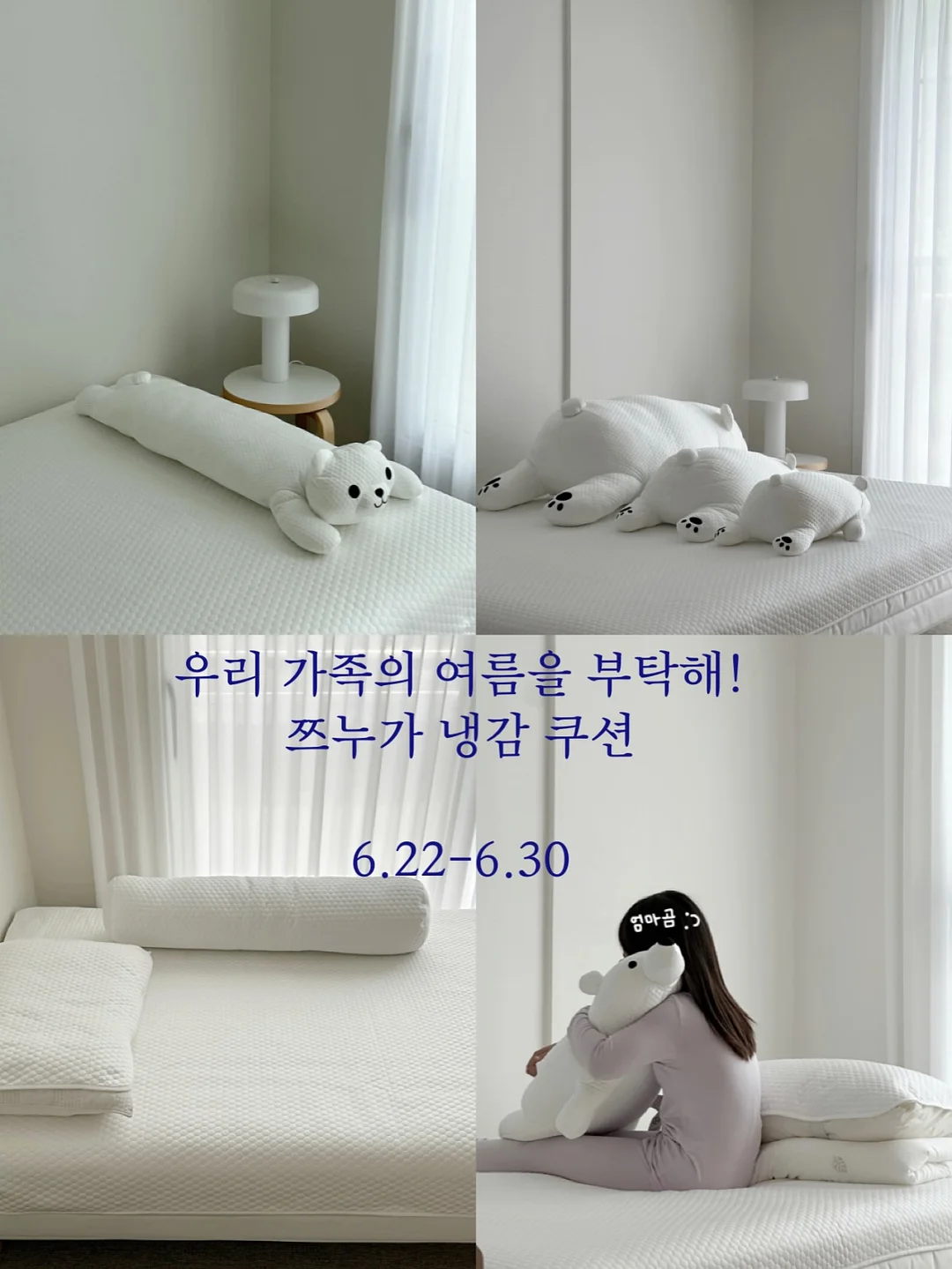 휴대용 다리미 1