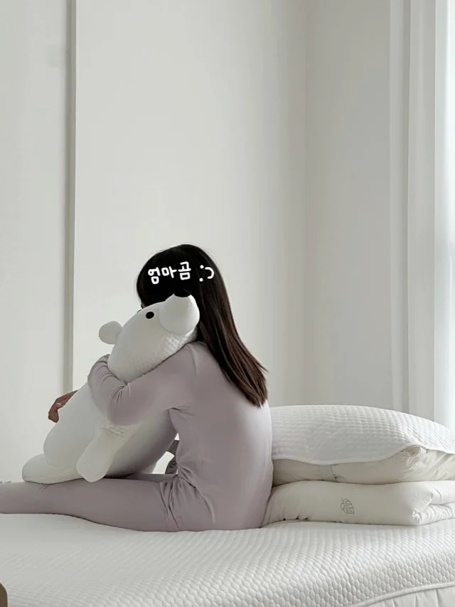휴대용 다리미 3