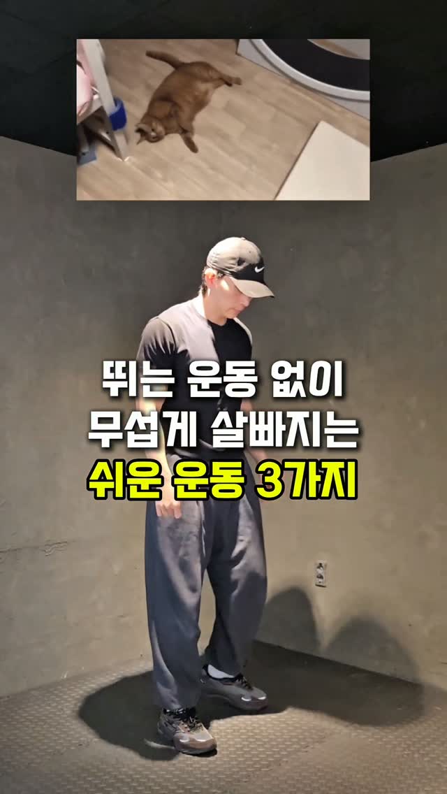 피기셋업