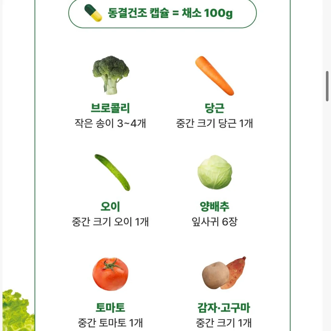 테슬라 DC콤보 CCS콤보1 충전 어댑터 11