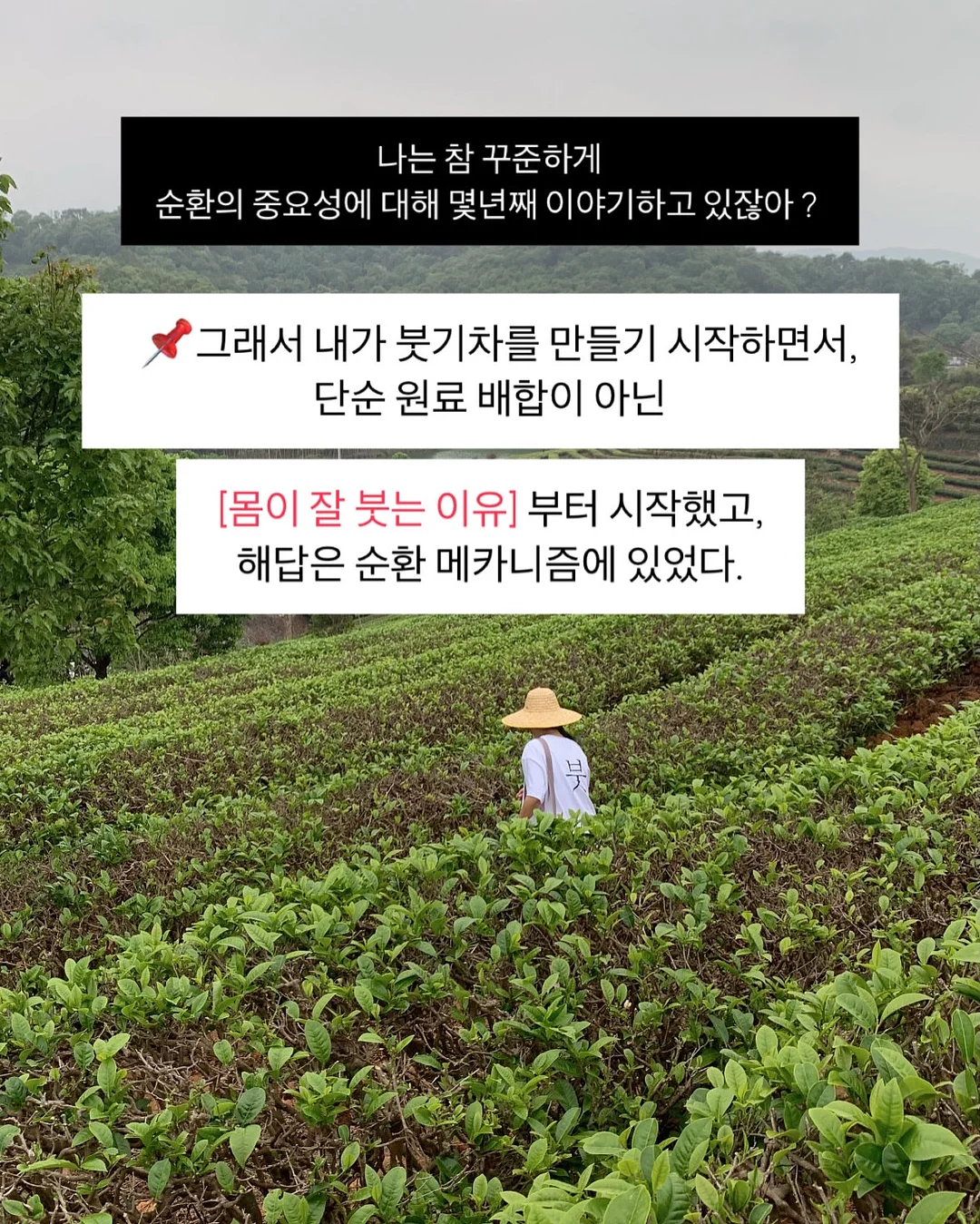 레이스 티셔츠 5