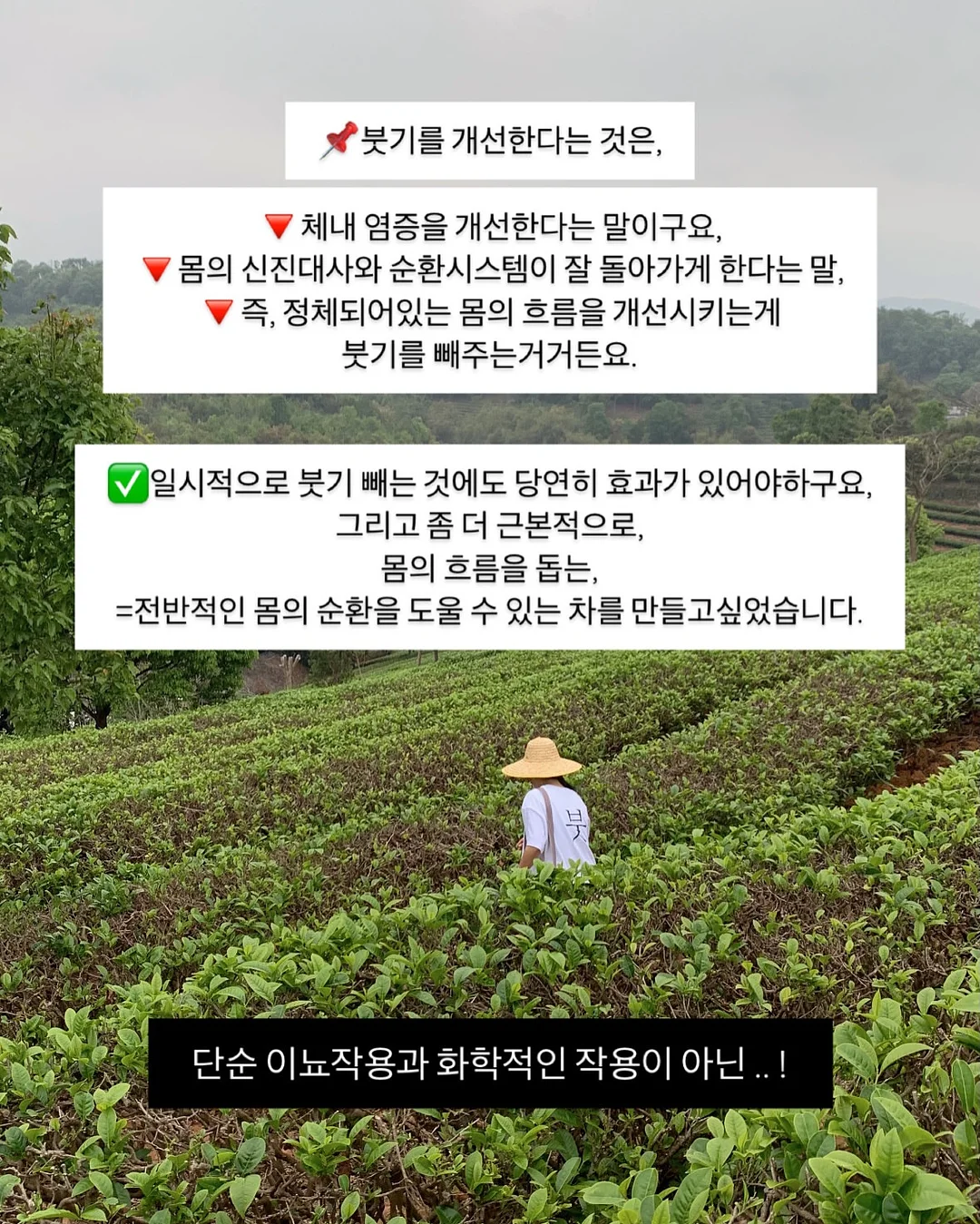 레이스 티셔츠 6