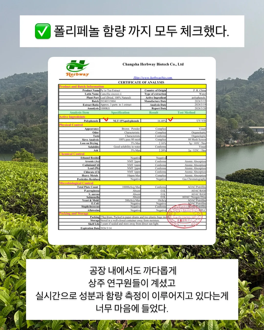 레이스 티셔츠 9
