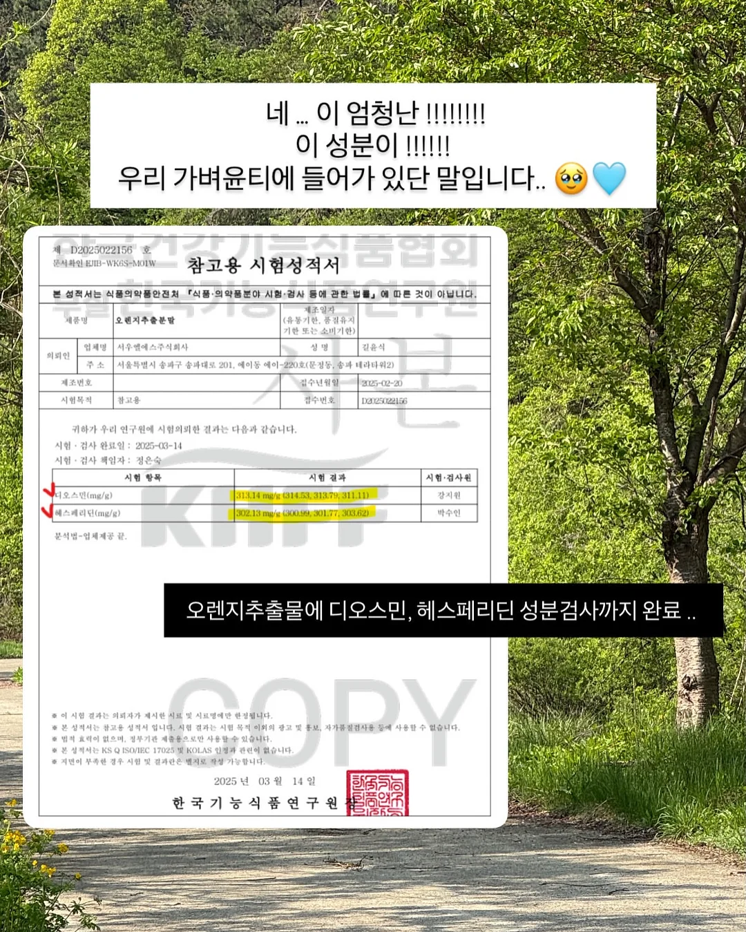 레이스 티셔츠 10