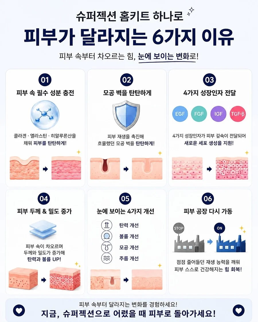 거름망 6