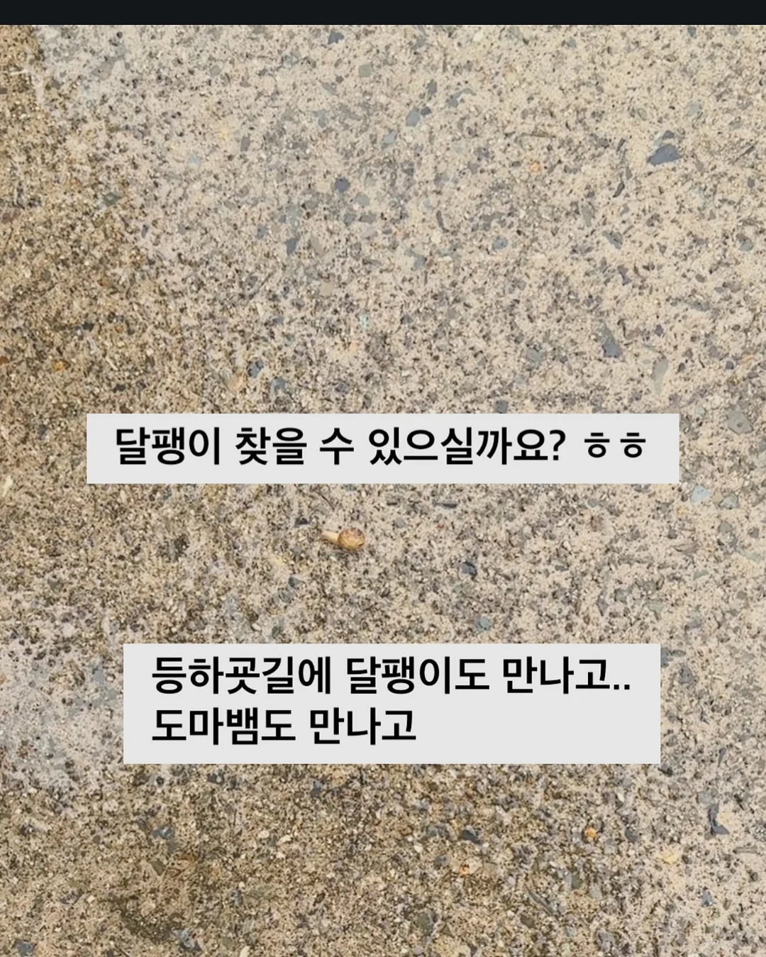 한유주언니미 가디건 세트 14