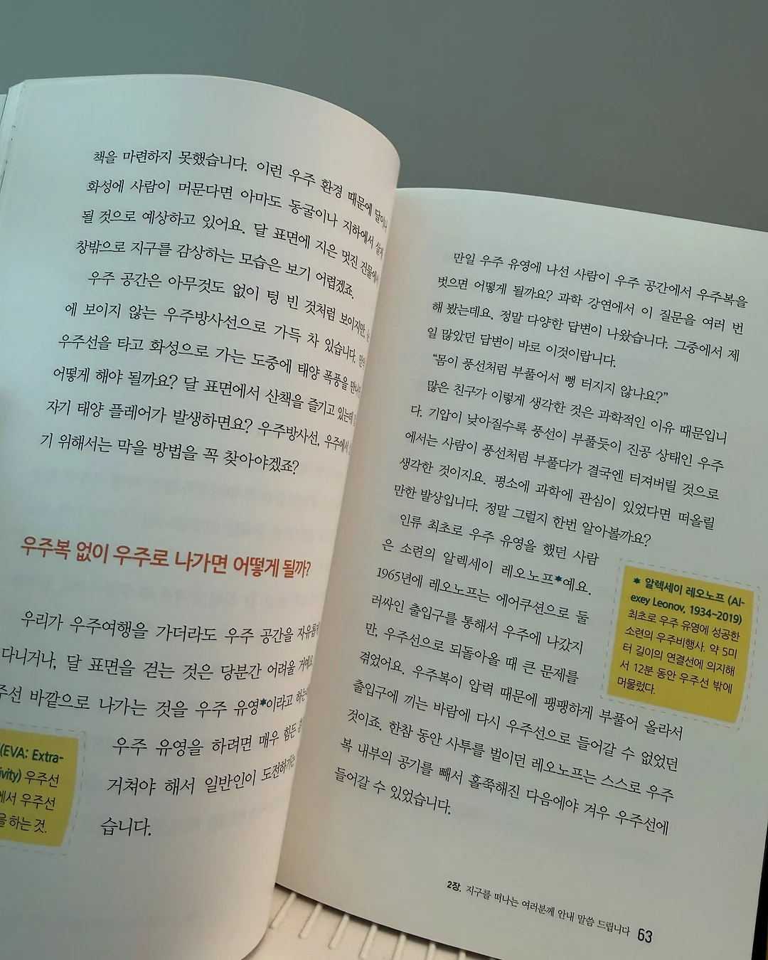 호접란 11