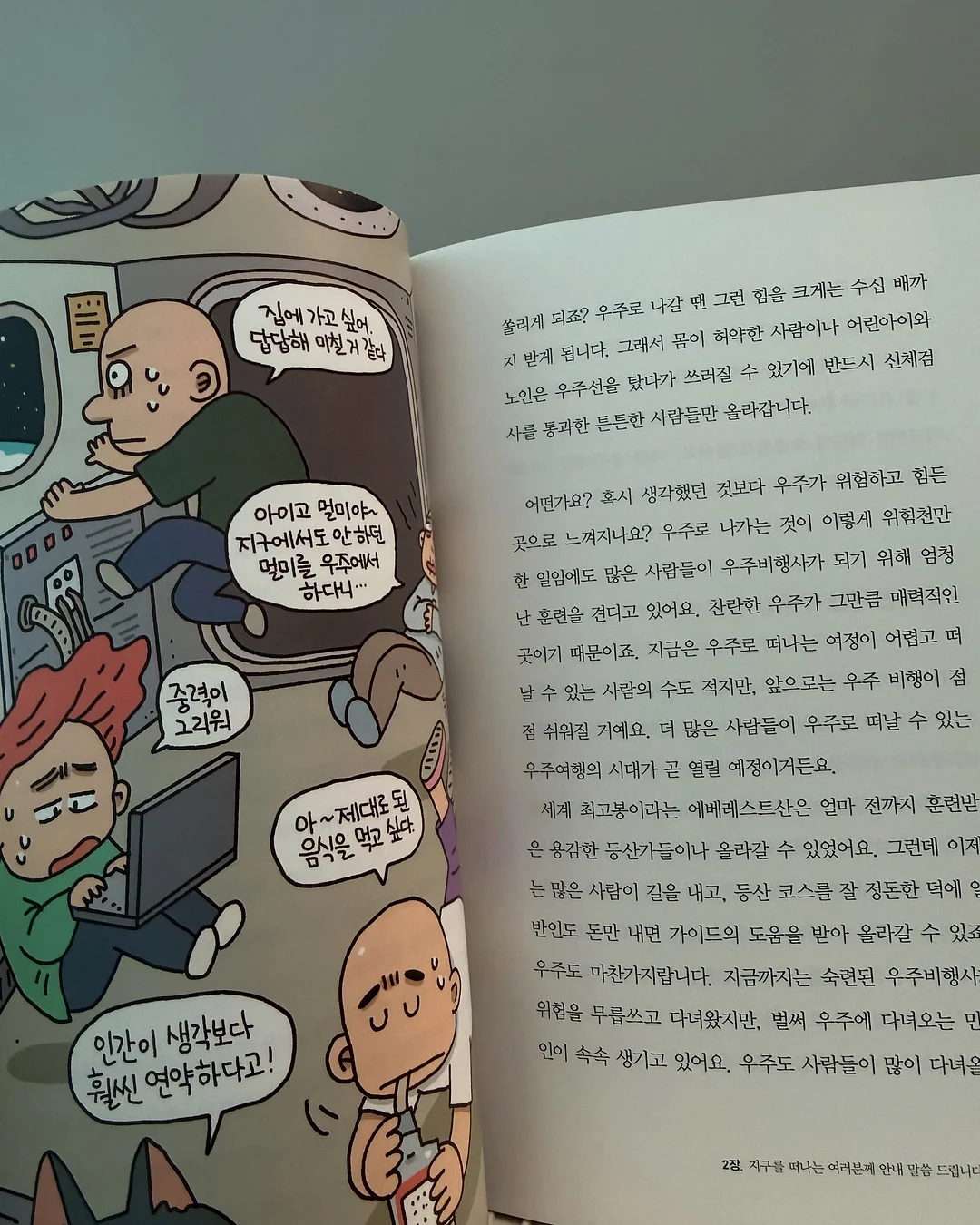 호접란 12