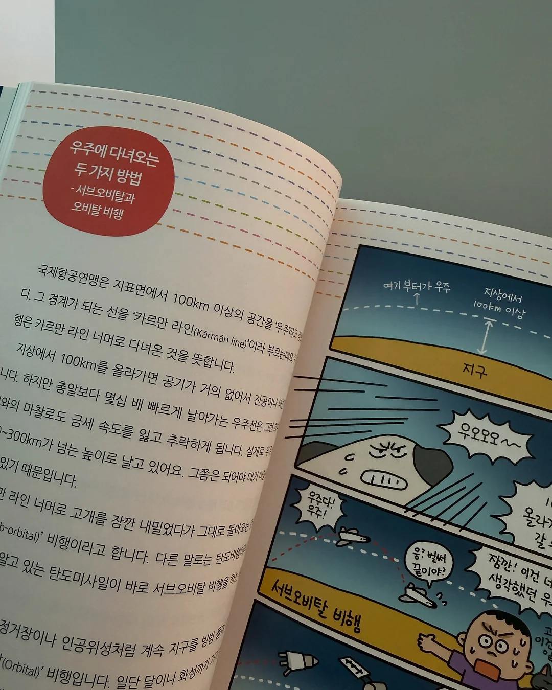 호접란 13