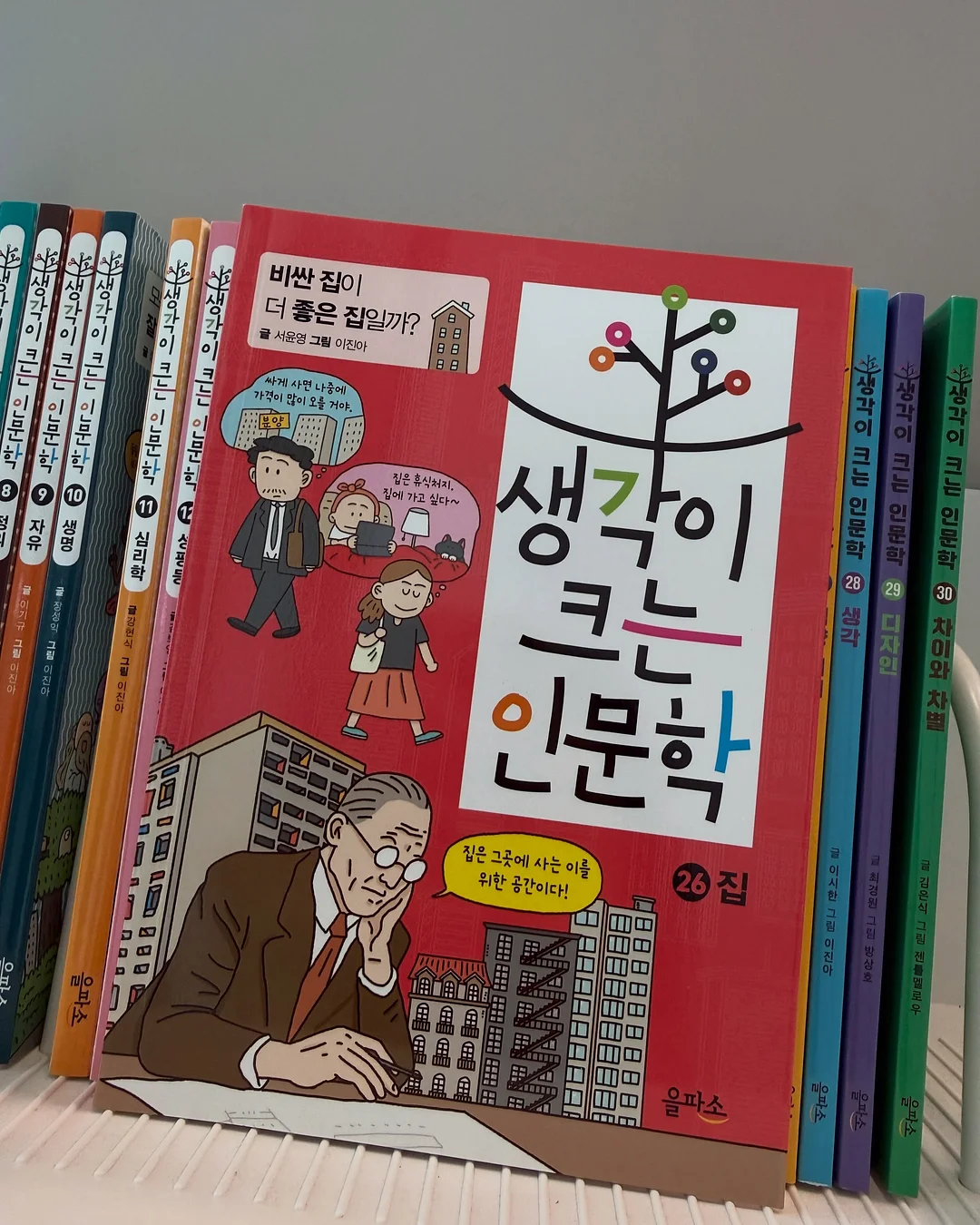 호접란 14