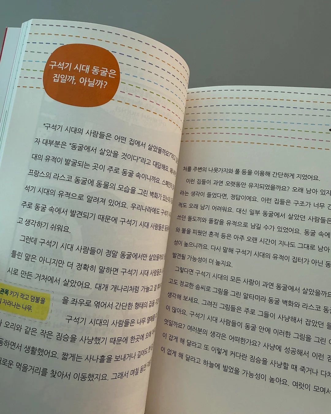 호접란 16