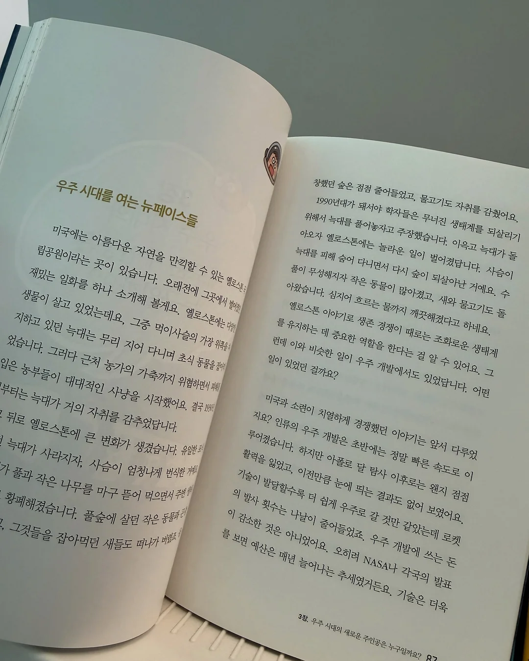 호접란 10