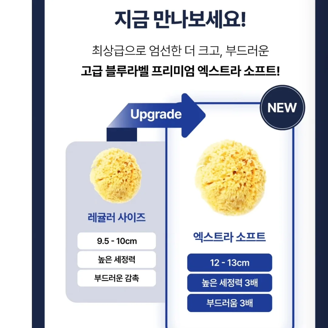 말차 수면세럼 16