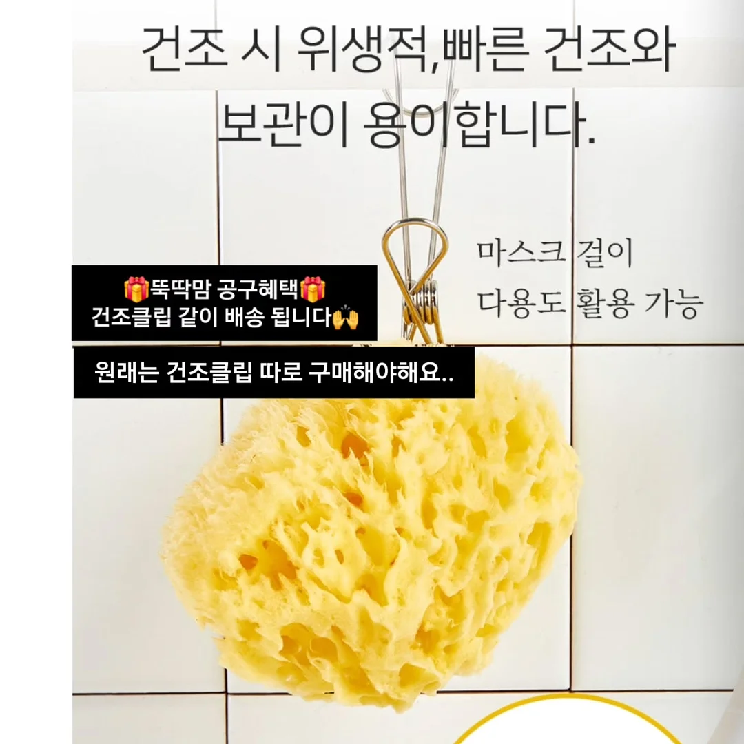 말차 수면세럼 18
