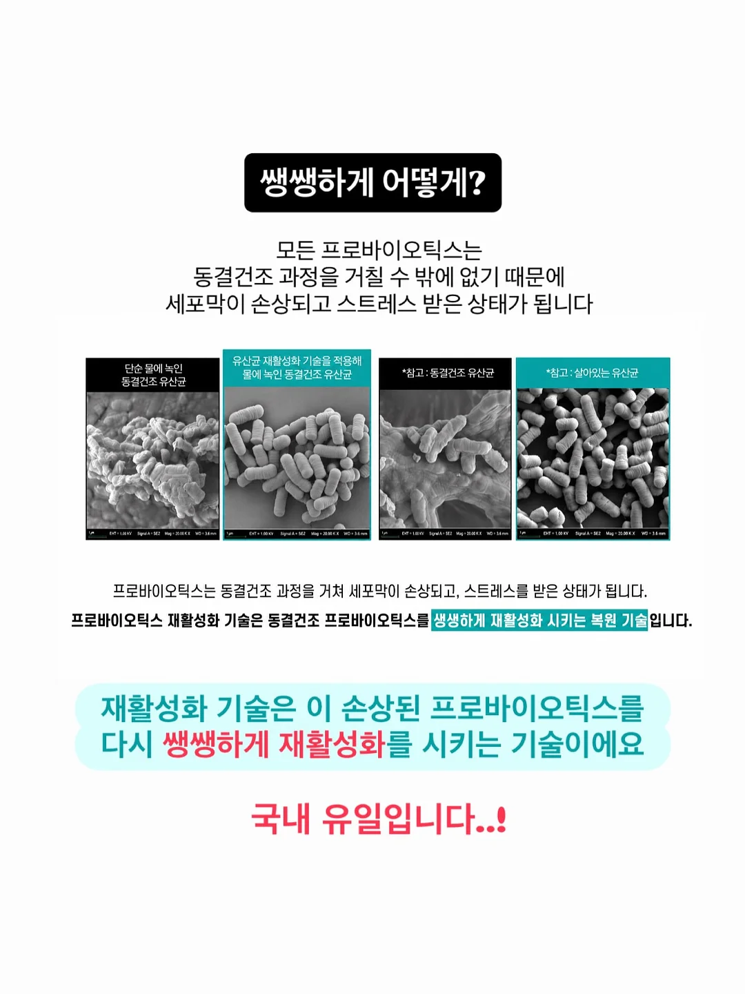 울진 풀빌라 3