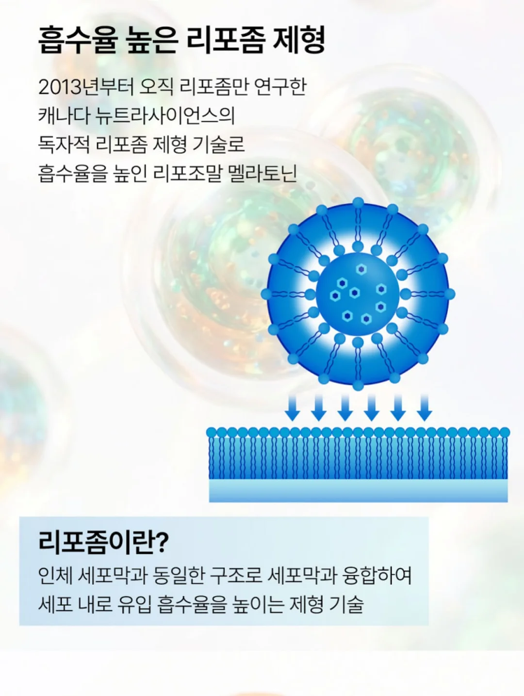 시사오 한남 5